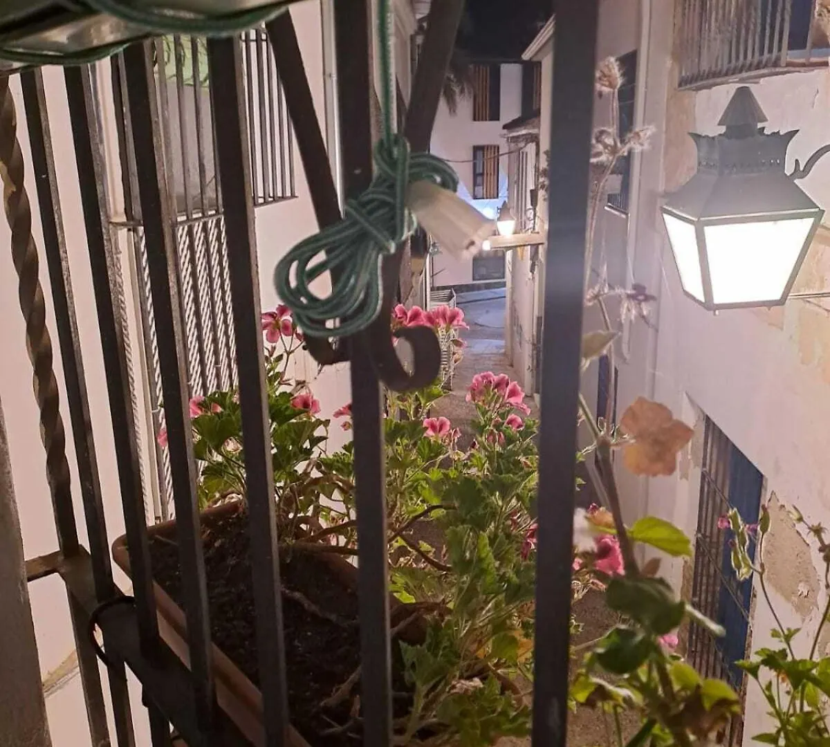 Calleja La Pimentera قرطبة فندق